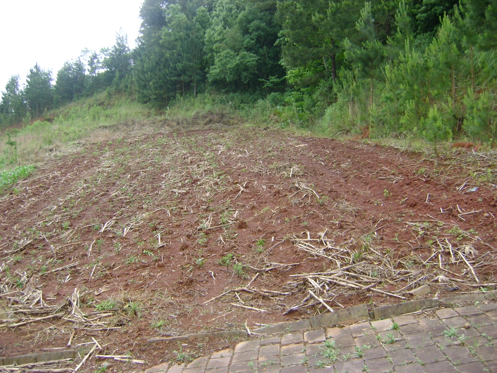 Terreno Urbano