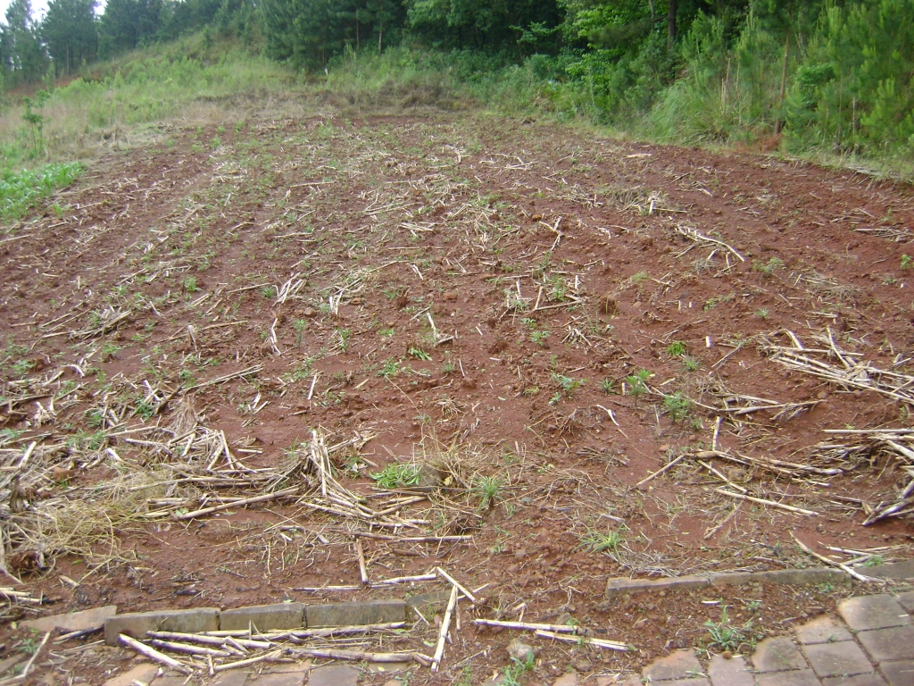 Terreno Urbano