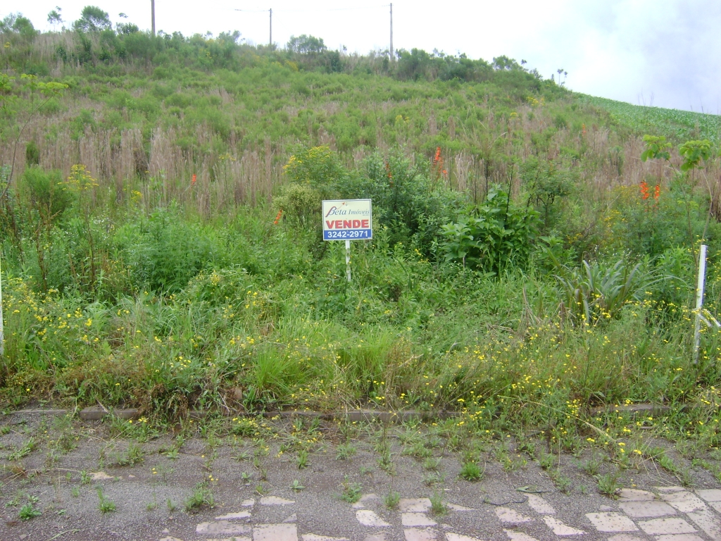 2 TERRENOS