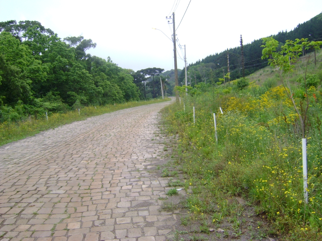 2 TERRENOS