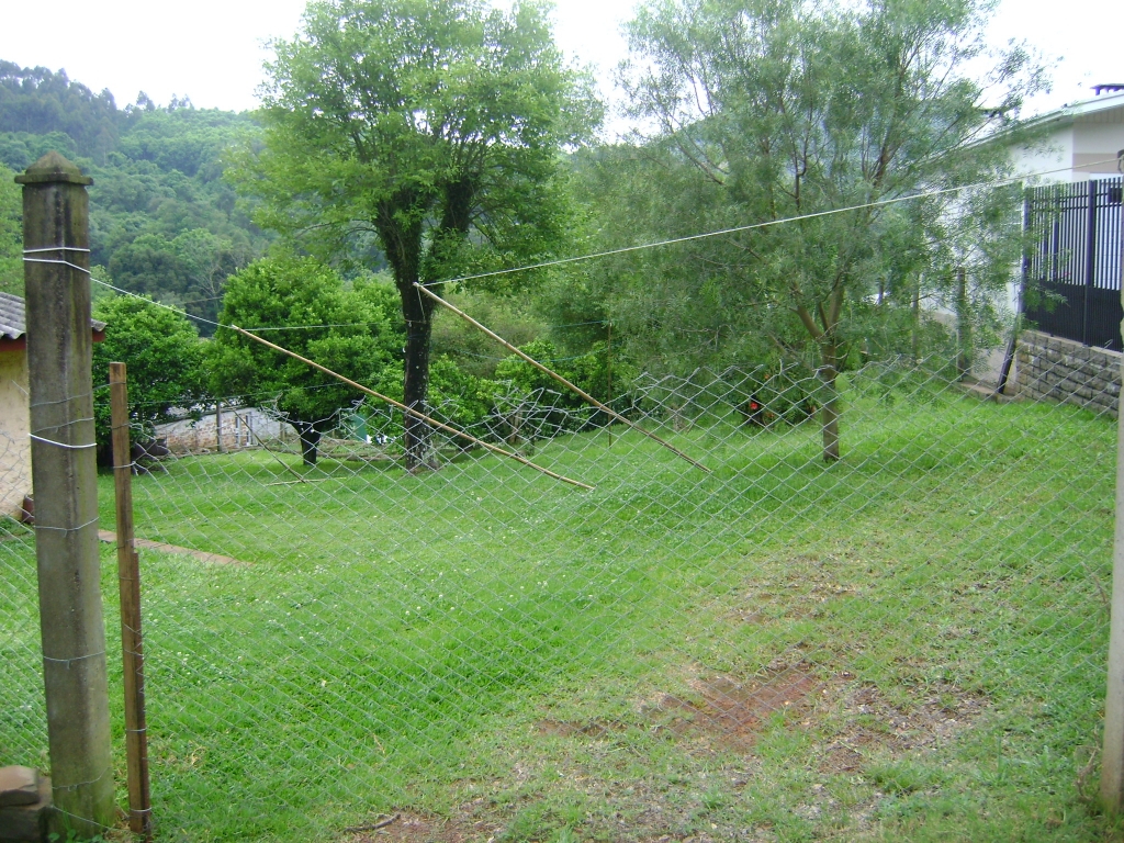 2 TERRENOS