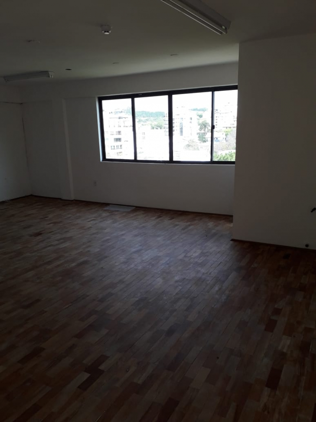 SALA COMERCIAL