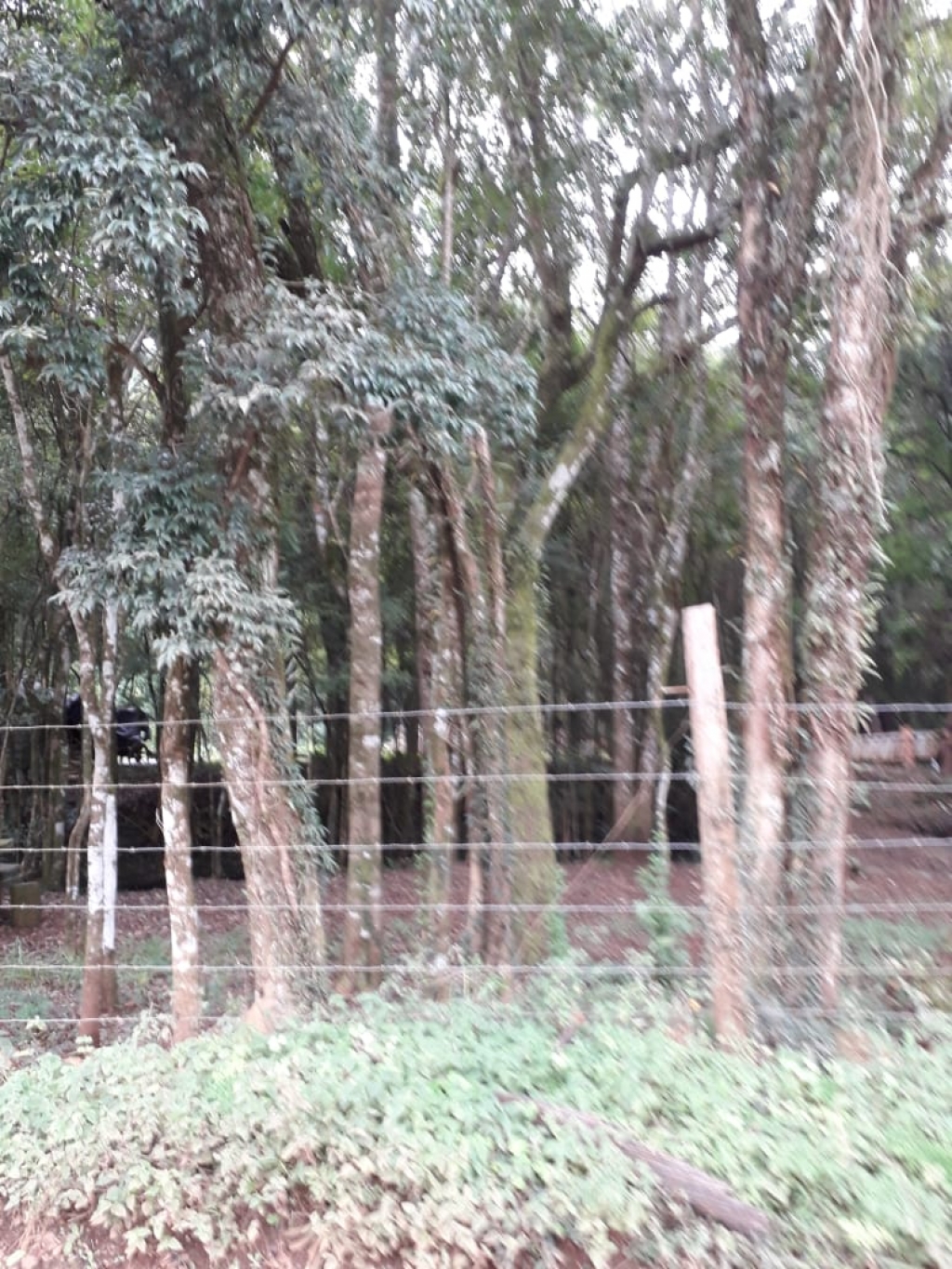 SÍTIO