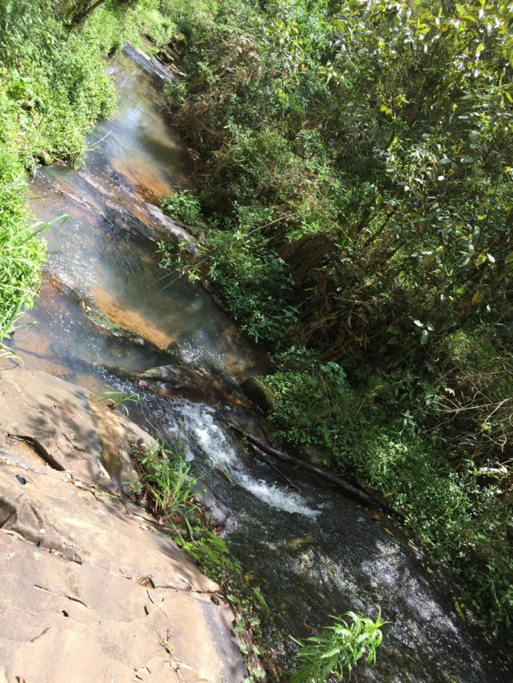 ÁREA RURAL